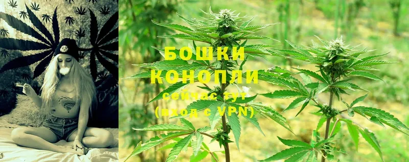 Бошки марихуана THC 21%  купить наркотики цена  Арамиль 